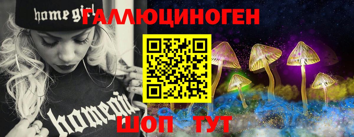 купить наркотик  Псилоцибиновые грибы мицелий  Вход с VPN  Карачаевск 
